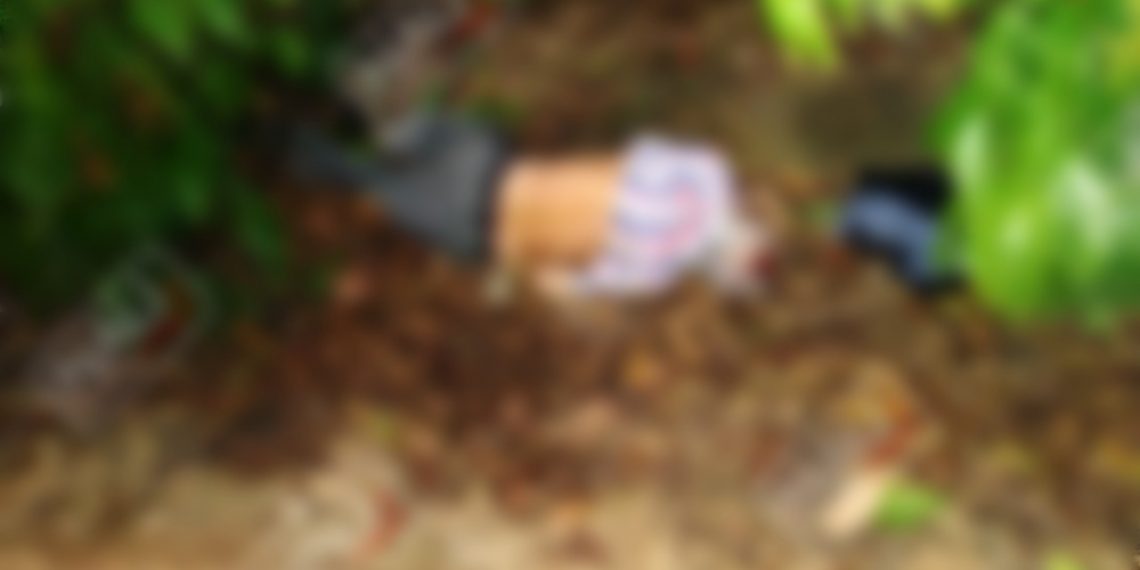 Muere anciano al ser atropellado por un vehículo desconocido