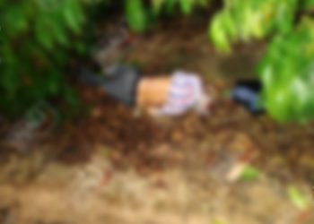 Muere anciano al ser atropellado por un vehículo desconocido