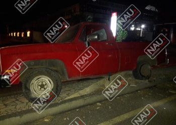 Camioneta causó daños a una jardinera