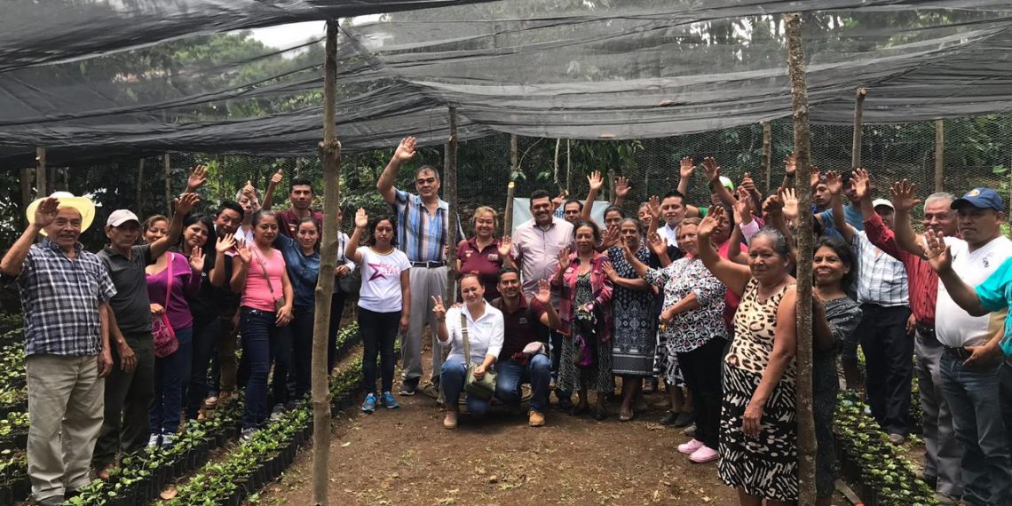 Derrama Económica De Más De 857 MDP En Las Regiones Costa-Soconusco Y Sierra