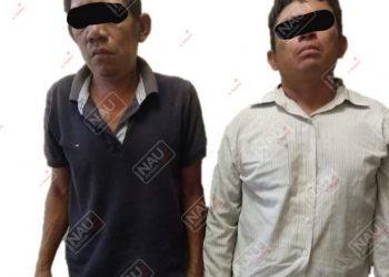 Dos detenidos por asaltar a una persona en la primavera