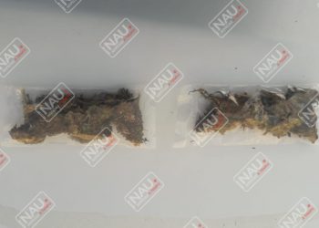 En diferentes acciones detienen a dos personas con posesión de marihuana