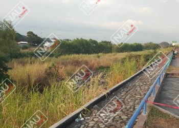 Asesinan a dos maras 13 en Tapachula