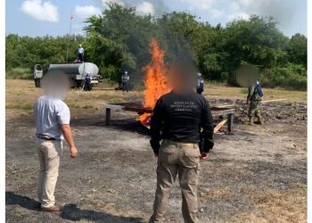 Incinera FGR Más De 50 Kilos De Narcótico En Chiapas