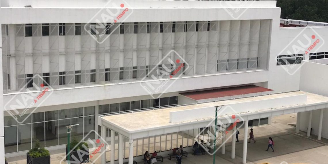 Fueron atropellados por un vehículo desconocido