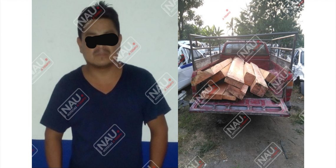 Elementos Estales Detienen a presunto Talamonte