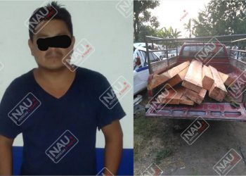 Elementos Estales Detienen a presunto Talamonte