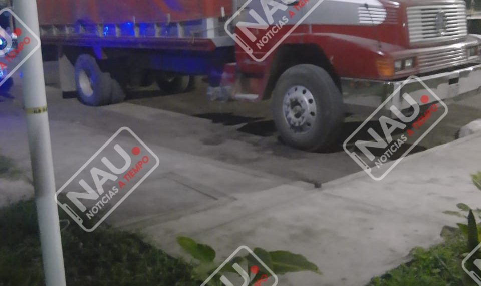 Aseguran Camión con 730 cajas de leche en polvo