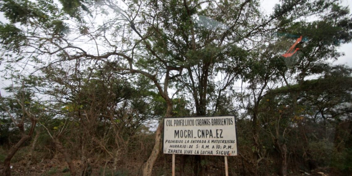 Recuperación del Estado de Derecho amplía confianza de la población: Ismael Brito