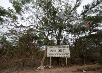 Recuperación del Estado de Derecho amplía confianza de la población: Ismael Brito