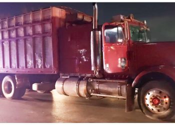 Rescata FGR a 97 migrantes que fueron abandonados en torton