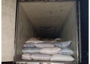 Asegura FGR camión con 15 toneladas de producto ilegal