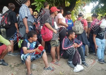 Detienen a más de 800 migrantes en Frontera Hidalgo