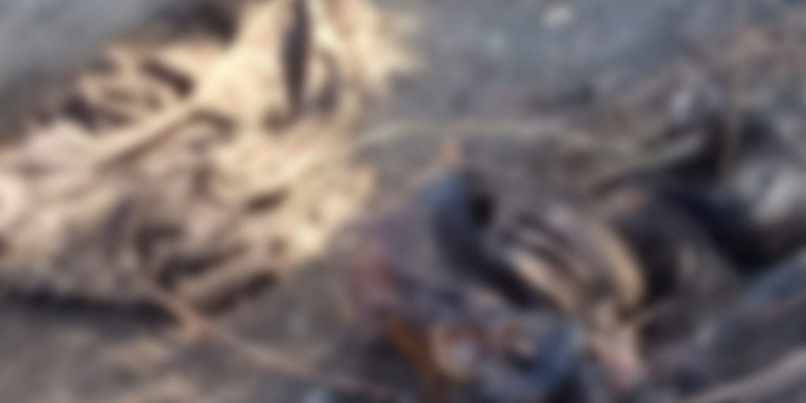 Localizan un cuerpo putrefacto