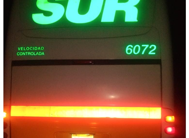 Asegura FGR 2 mil huevos de tortuga y detiene a una mujer