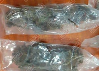 Detienen a sujeto con 5 carrujos de marihuana