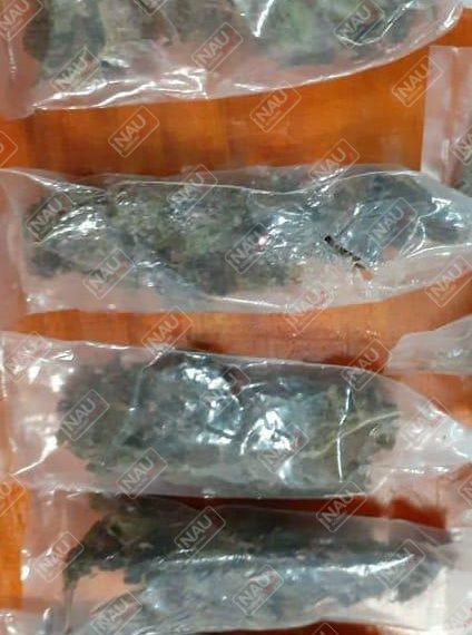 Detienen a sujeto con 5 carrujos de marihuana