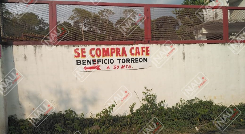 Familias sufren enfermedades por contaminación de Beneficio de Café