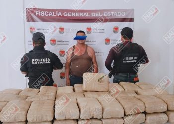 Detenido con 97 paquetes de marihuana que llevaba en un cargamento de repollo