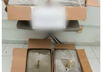 Asegura FGR marihuana en San Cristóbal de Las Casas