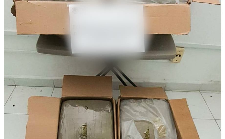 Asegura FGR marihuana en San Cristóbal de Las Casas