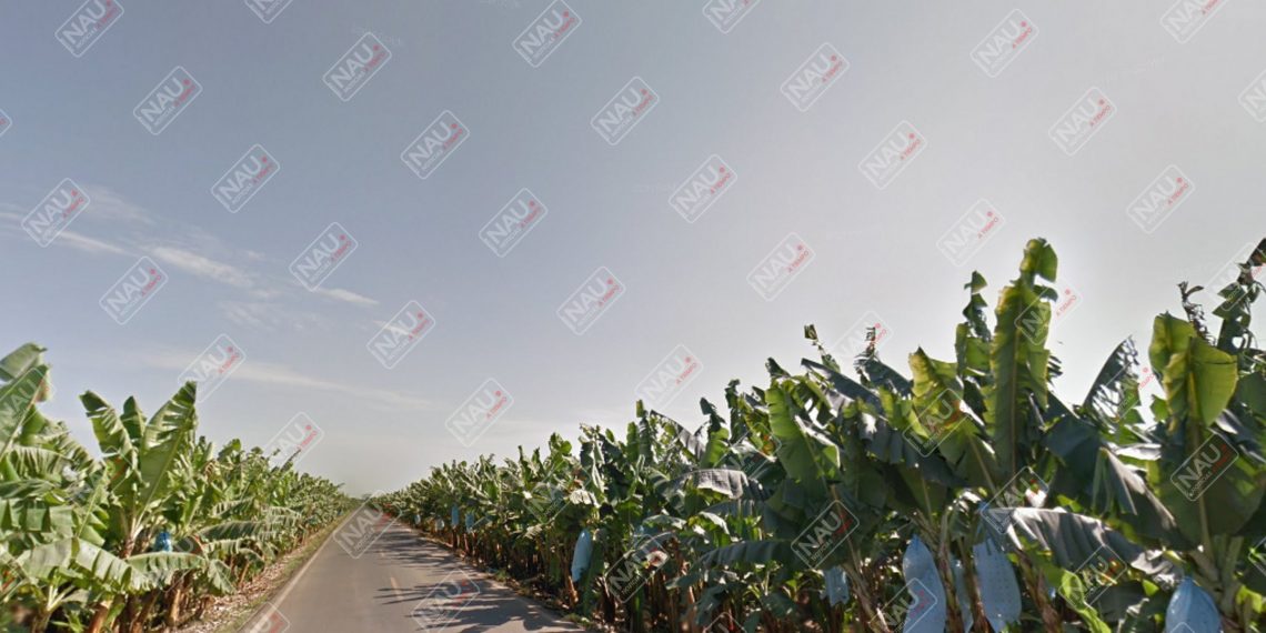 Dos asaltantes se robaron con violencia una motocicleta modelo 2020