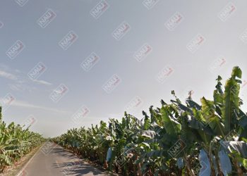 Dos asaltantes se robaron con violencia una motocicleta modelo 2020