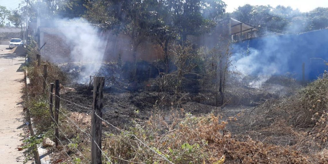 Detiene Fiscalía a persona por delito de ecocidio en la Frailesca