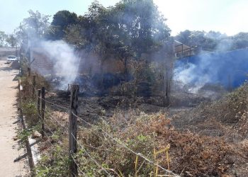 Detiene Fiscalía a persona por delito de ecocidio en la Frailesca