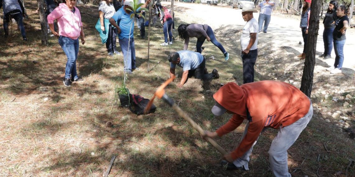 Celebra Fiscalía acuerdo reparatorio por delito de ecocidio en Comitán