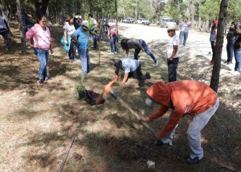 Celebra Fiscalía acuerdo reparatorio por delito de ecocidio en Comitán