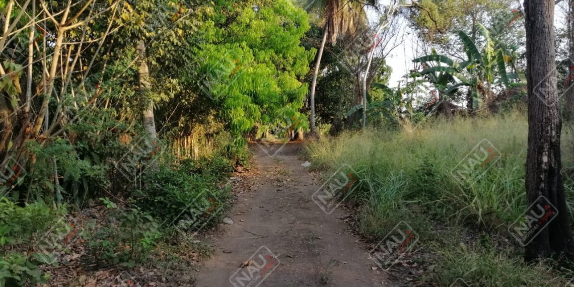 Localizan el cuerpo sin vida de un enfermo mental