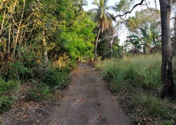 Localizan el cuerpo sin vida de un enfermo mental