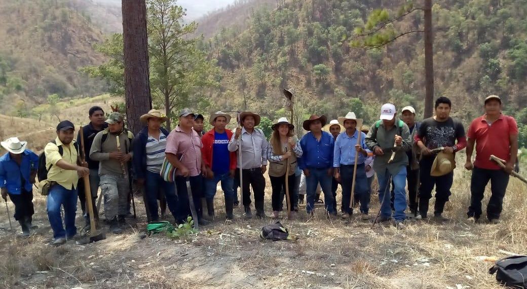Previenen incendios forestales en la región sierra de Chiapas