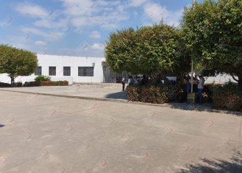 En dos casas entraron a robar