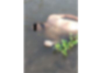 Localizan muerta a una persona en el río Suchiate