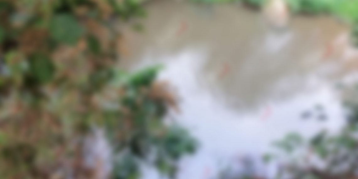 Tiene 4 días de haber sido asesinado