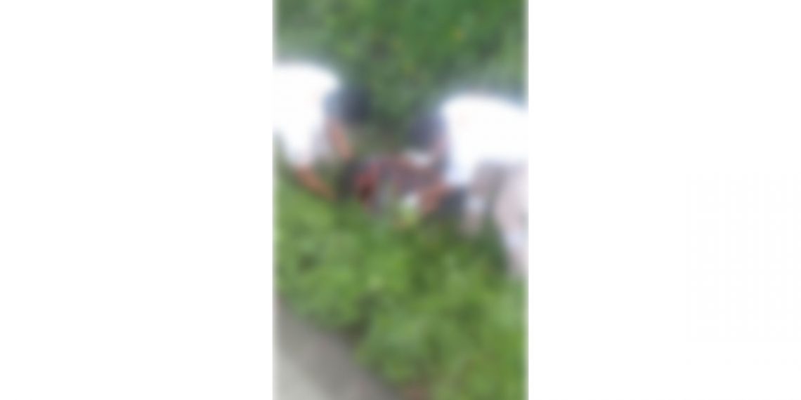 Fue atropellado por un vehículo