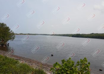 Más de 900 kilos de cocaína asegurada por la SEMAR