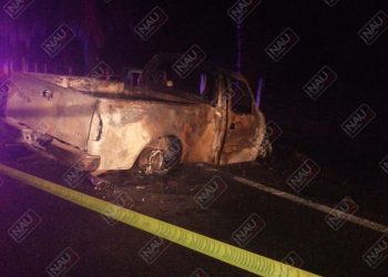 Murió calcinado al chocar su vehículo contra una palmera