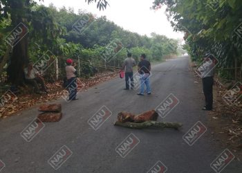 Nueve comunidades de Tuxtla Chico cierran entradas y salidas