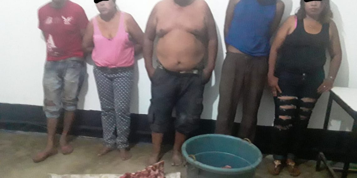 Detenidos por destazar una vaca