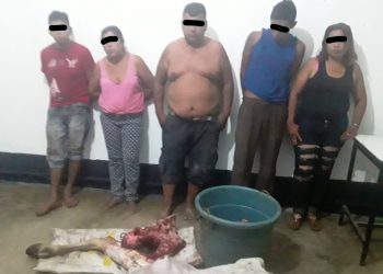 Detenidos por destazar una vaca