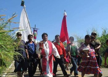 Ajonjolí de todos los moles