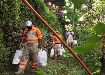 Casa Por Casa Se Entregan Apoyos Alimentarios A Familias Vulnerables