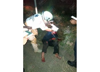 Atropellan al Águila Azul