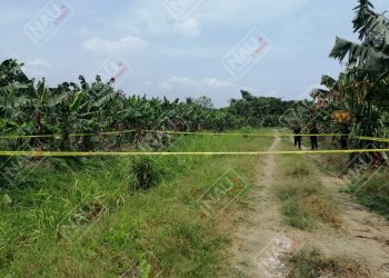 Mujer fue asesinada desde el pasado 10 de mayo