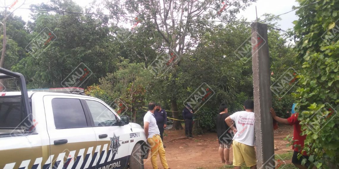 Cayó de un árbol de aguacate y falleció