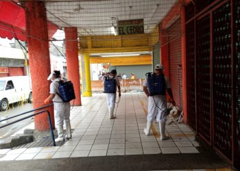 AYUNTAMIENTO DESAZOLVA LA RED DE ALCANTARILLADO SANITARIO EN MERCADOS LOCALES