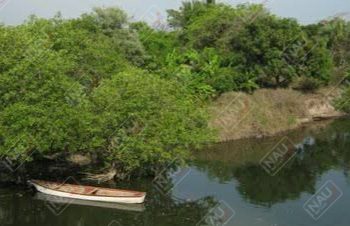 Por descuido de la abuela muere ahogado un niño